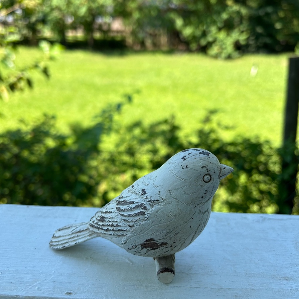 Bird - Picture 10 of 12